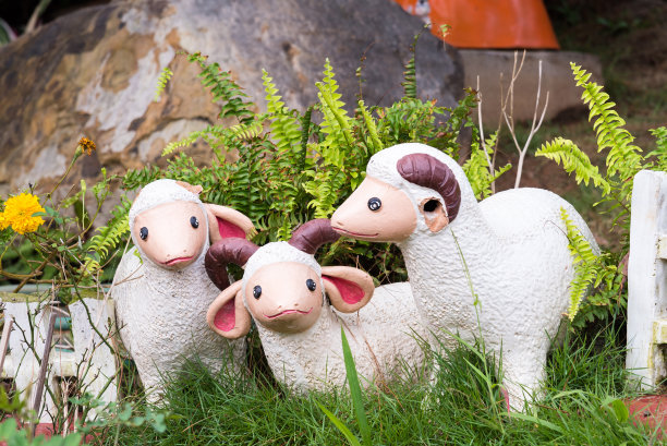 lamb