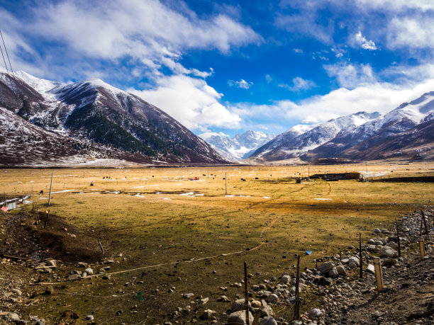 藏族风景