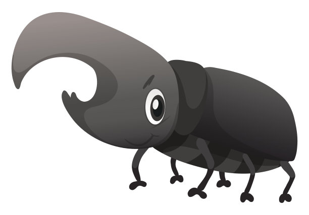 beetles