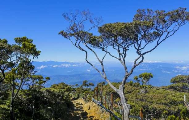 sabah
