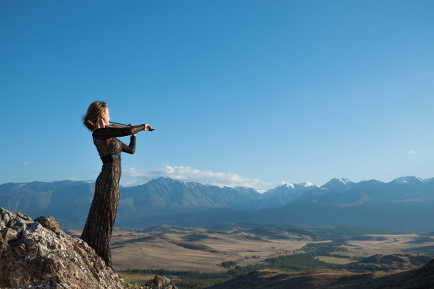 violin