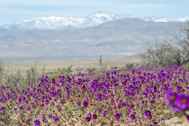 chile