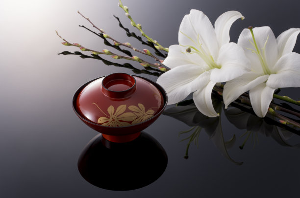 lacquer