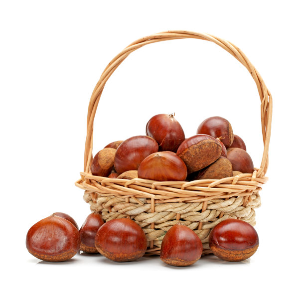 chestnut