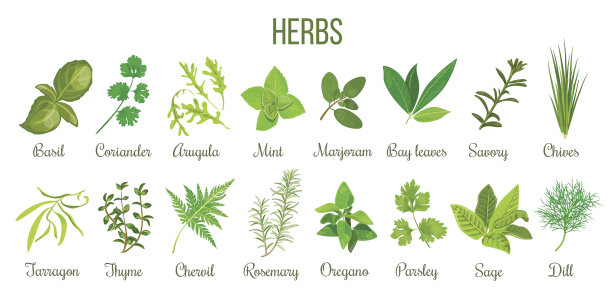 herb