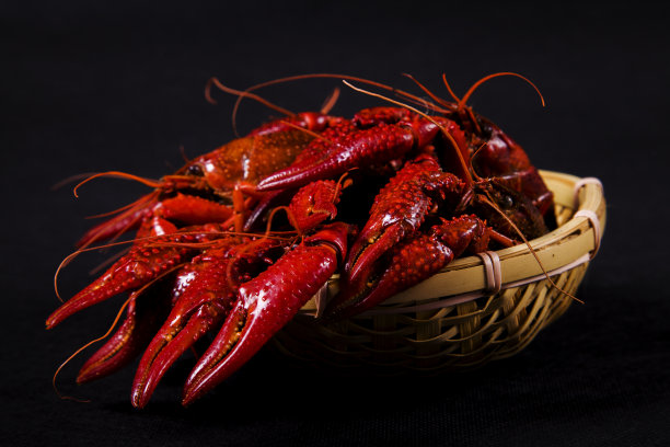 mudbugs