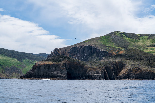 布鲁尼岛