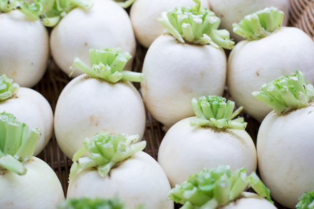 radishes