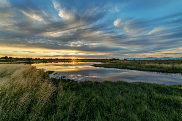 wetland