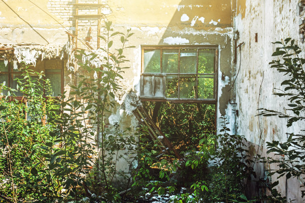 overgrown