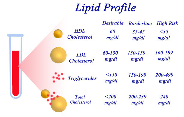 cholesterol