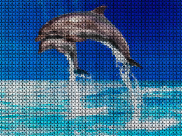 海豚底纹