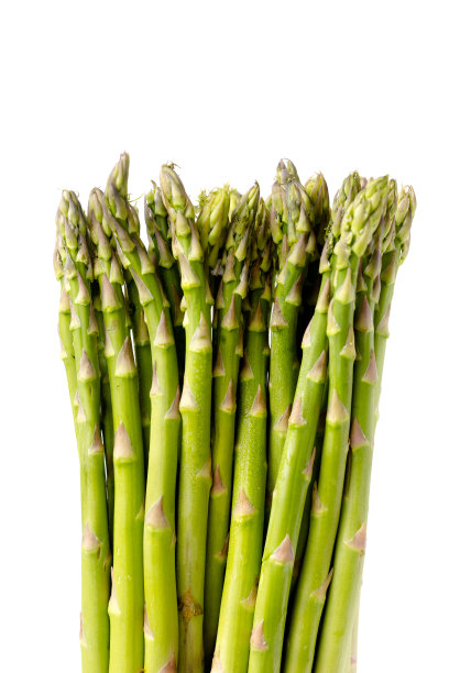 officinalis