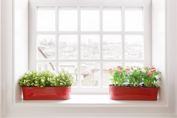 窗台的盆花