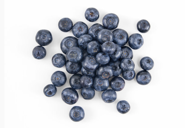 ericaceae
