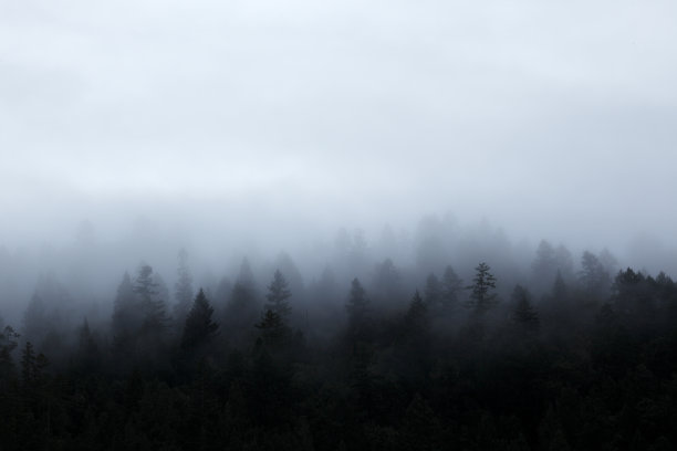 secluded