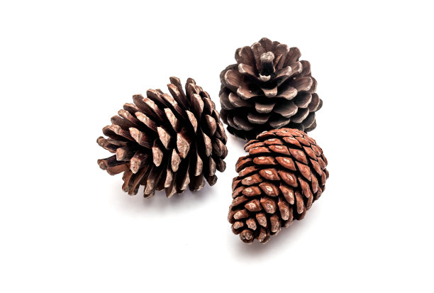 cone