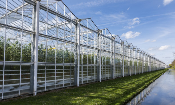 greenhouse