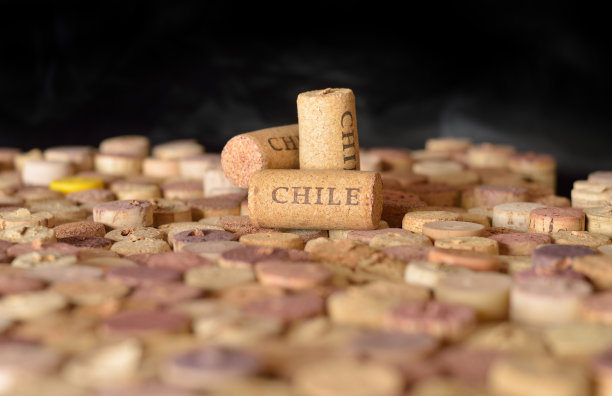 智利葡萄酒
