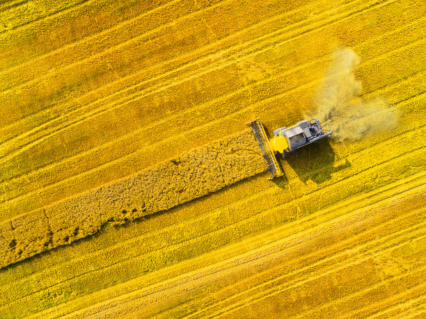 harvest