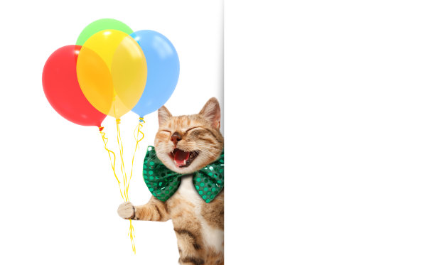 congratulation