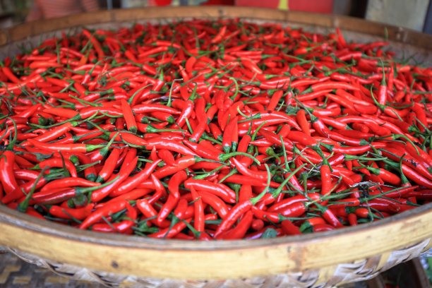 chilli