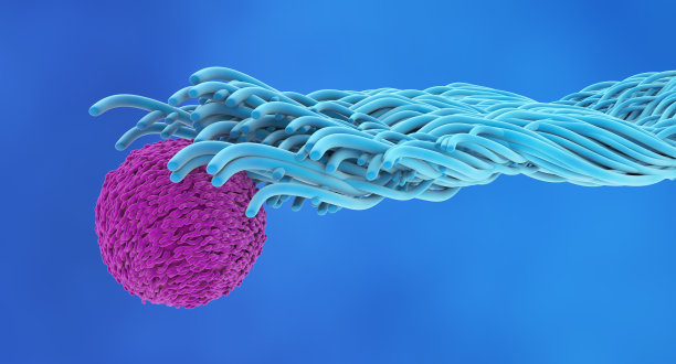 cd4