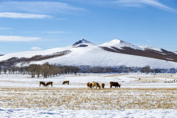 冬季的内蒙古