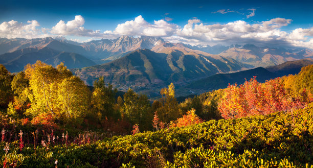 georgia