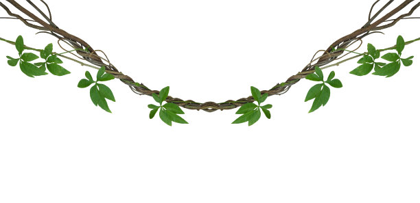 branch
