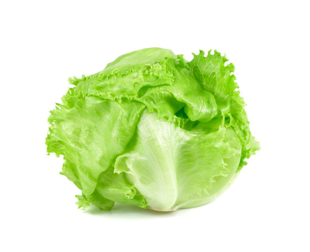 素食维生素绿色