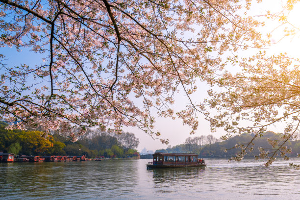 西湖风景