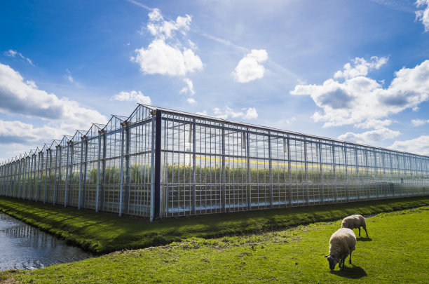 greenhouse