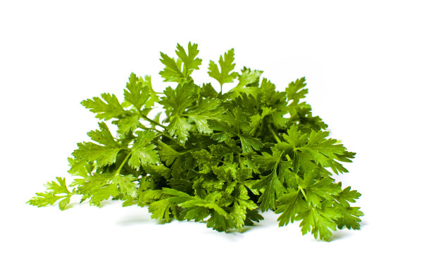 parsley