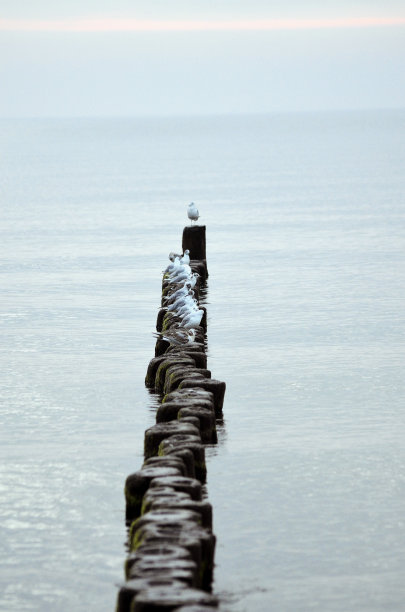groyne