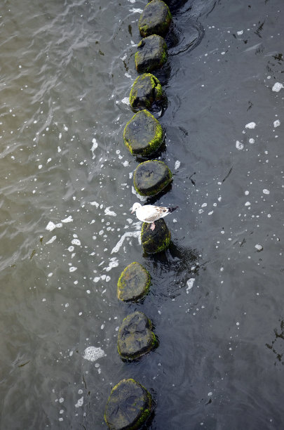 groyne