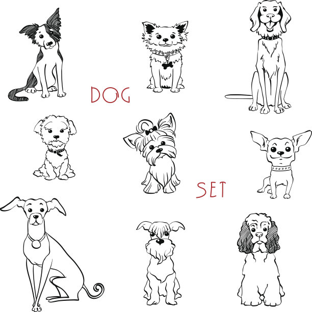 狗狗插画