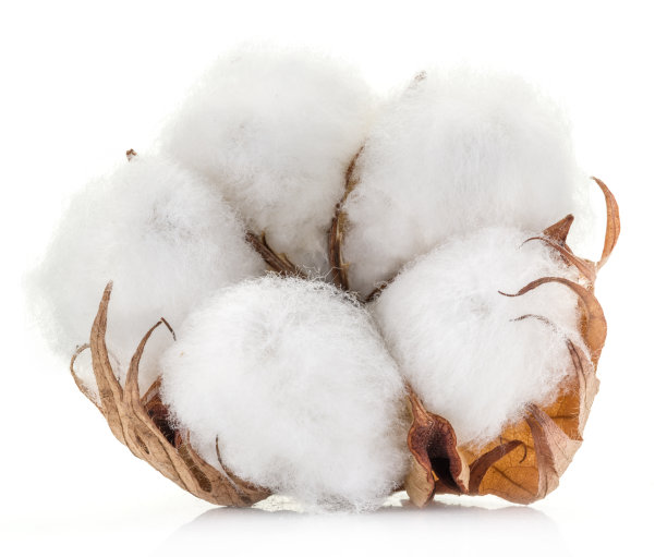 cotton
