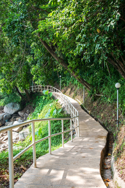 田间小路