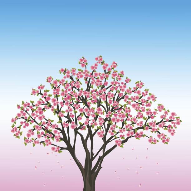 亚洲樱桃树