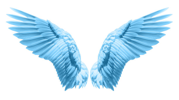 wings