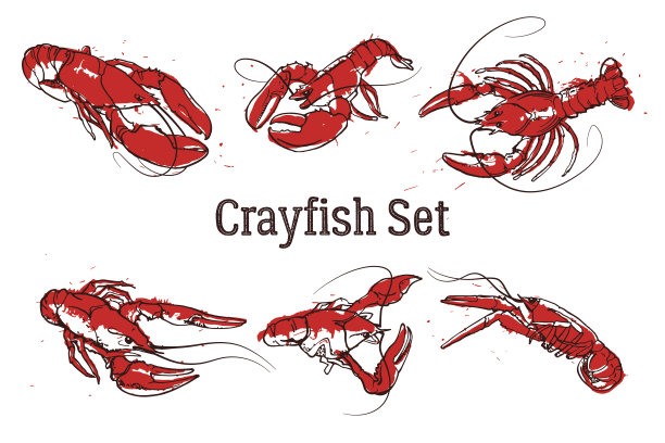 crayfish