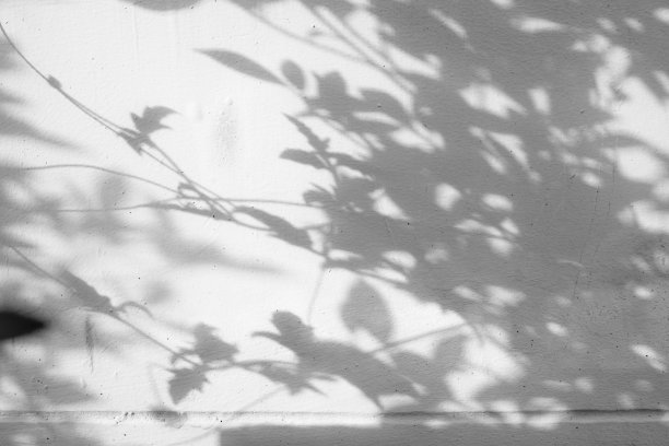 shadow
