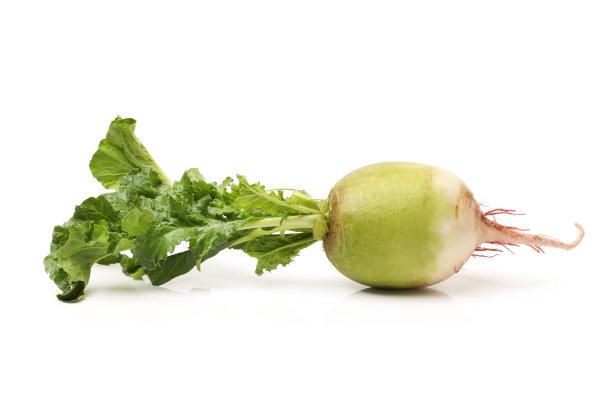 radishes