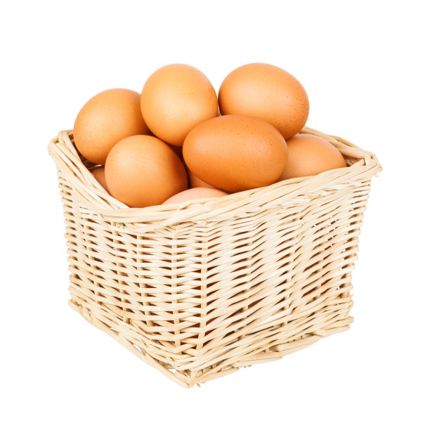 egg