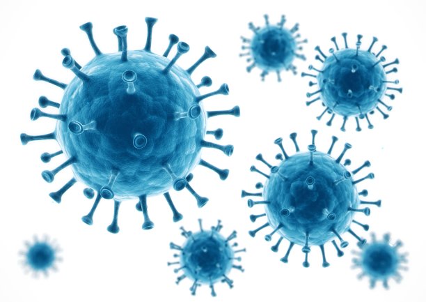 bacteria