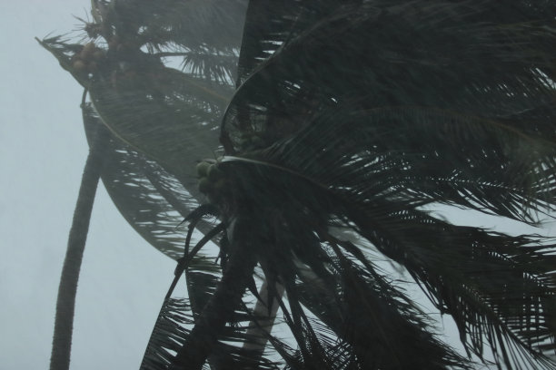 大雨暴雨