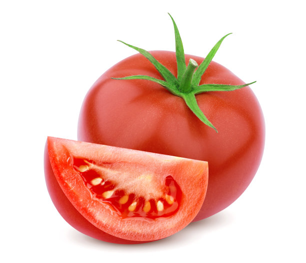 lycopersicon