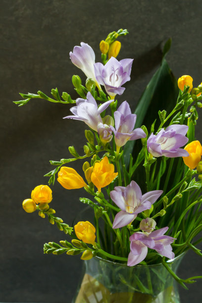 bud
