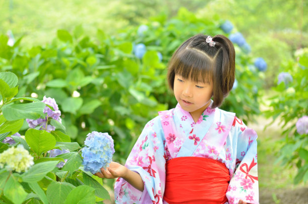 绣球花和女孩